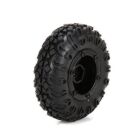 ECX Ersatzteil Front/Rear Premount Tire 1 24 4WD Temper / ECX40005