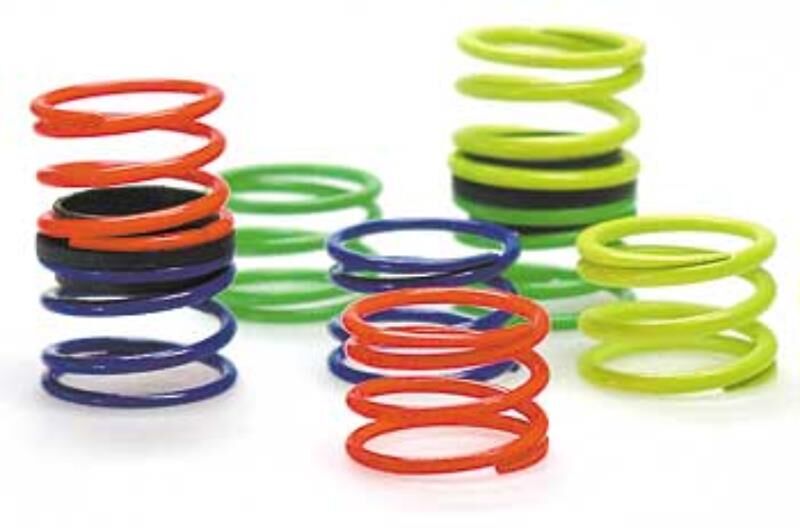 Team Magic Dämpferfedern Set Kurz (8 Stk) / RS701