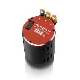 Hobbywing QuicRun-3650 G2 Motor 10.5T Sensored für 1/10 / HW30404309