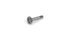 Losi Motorritzel Differential vorne/hinten 13T: 8B, 8X, 8XE / LOSA3508