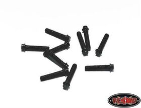 RC4WD Miniature Scale Hex Bolts (M2 x 10mm) (Black) /...