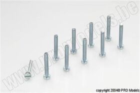 Protech RC Pan Head Screw M2,5X20, 10 Pcs / MA2030