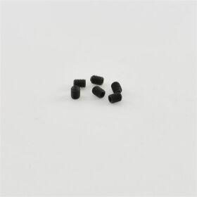 CEN Madenschraube M3x4mm (6 Stück) / G36251