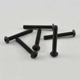 CEN Rundkopfschrauben M4x30mm (6 Stück) / G36304A