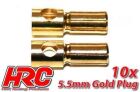 HRC Racing Stecker Gold 5.5mm männchen (10 Stk) / HRC90055M