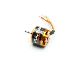 PULSAR Brushless Motor P15 KV=1000 / C5294