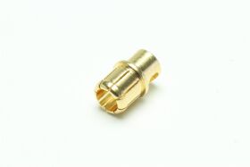 PICHLER Gold Stecker 8,0mm (VE=10St.) / C5643