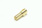 PICHLER Goldstecker 5.5mm (VE=50St.) / C6890