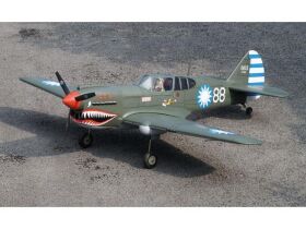 VQ Model Curtis P-40 AVG / 1570 mm / C8391