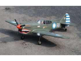VQ Model Warbird Curtiss P-40 / 1570 mm / C8391