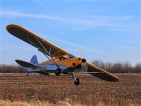 HORIZON Hangar 9 Carbon Cub 15cc 2280m ARF / HAN5065