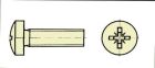 Extron Nylonschr. Zylk. mit Kreuz M 6X40 (VE=10St.) / X0651
