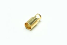 Extron Goldbuchse 6mm (VE=10 Stück) / X6743
