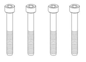 Krick IRC Racing Schrauben M3x24mm (10) / 850789