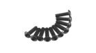Axial Ersatzteil AXA115 Hex Socket Button Head M3x10mm Black (10) / AXIC0115