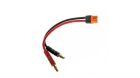 Spektrum Adapter: IC3 Battery / 4mm Male Bullets mit 6" Wires, 13 AWG / SPMXCA315