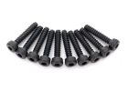 TRAXXAS Schrauben 2x10mm Cap-head selbstschneidend (hex drive) (10) / TRX8167