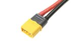 G-Force RC Steckverbinder XT-60 mit kappe Goldkontakten Buchse 4 St / GF-1040-003