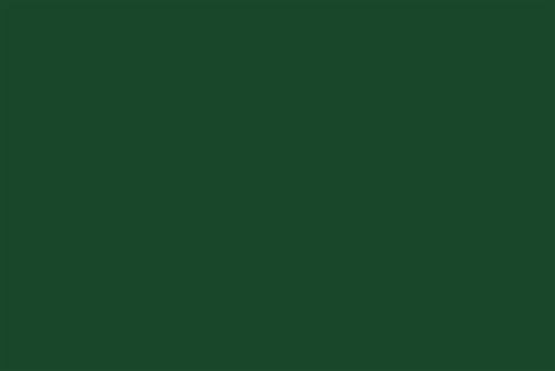 Oracover Green ( Length Roll 10m Width 60cm ) / OR-21-040-010