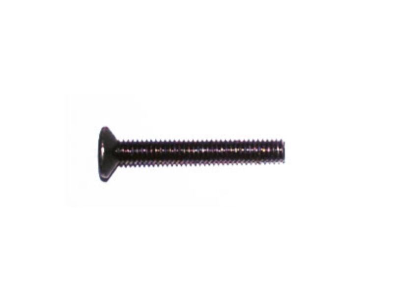Amewi Flat head hexagon screw M2x16 DUNE Buggy 1:10 / 014-K949-87