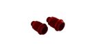 Arrma Ersatzteil Aluminum Shock Body 16x36mm (2) / ARA330595