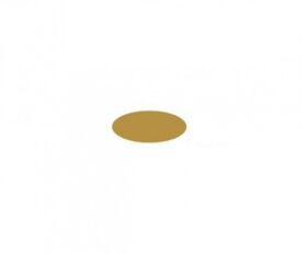 ITALERI Acrylfarbe Holz matt 20ml / 510004673