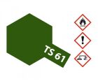 TAMIYA Sprühfarbe für Plastikmodelle TS-61 NATO Grün matt 100ml / 300085061