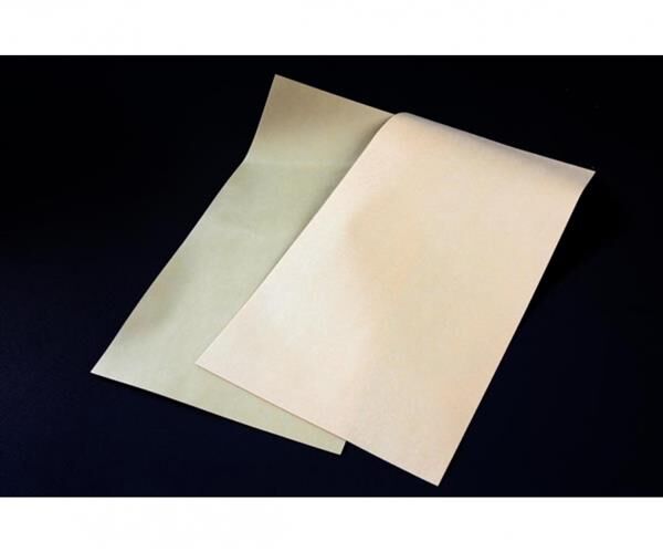 TAMIYA Chassis Schutzfolie hart 0,3mm (2) / 300054499