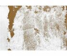 TAMIYA Spachtelm. Schnee/Weiss 100ml Diorama / 300087119