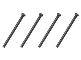 ABSIMA Round head screws (2.3x28) / AB30-LS03