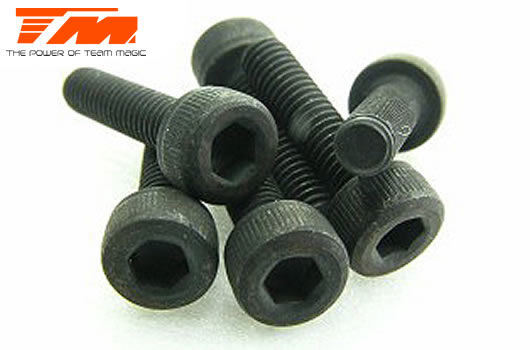 Team Magic Schrauben Zylinderkopf Sechskant (Allen) M3 x 12mm (6 Stk.) / TM126312C