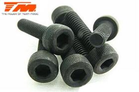 Team Magic Schrauben Zylinderkopf Hex (Allen) M3 x 16mm...