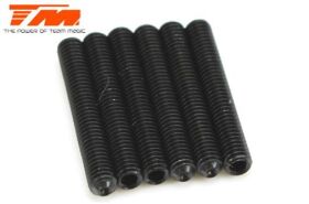 Team Magic Madenschrauben M3 x 20mm (6 Stk.) / TM126320S