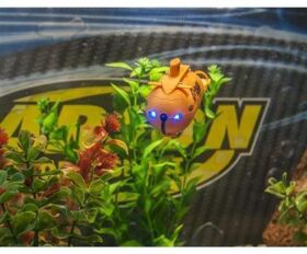 CARSON UBOOT XS Deep Sea Dragon 100%RTR(orange) / 500707117