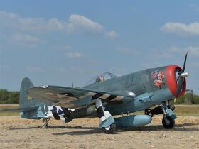 Black Horse P47 Thunderbolt / 2260mm / C4950