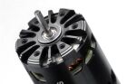 ABSIMA 1:10 Brushless Motor "Revenge CTM V3" 7,5T / 2130056