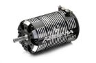 ABSIMA 1:8 Brushless Motor "Revenge CTM V3" 2500KV / 2130066