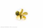 Aero Naut Schiffsschraube Messing  5-Blatt, Form A  55/M4, links  / 716821