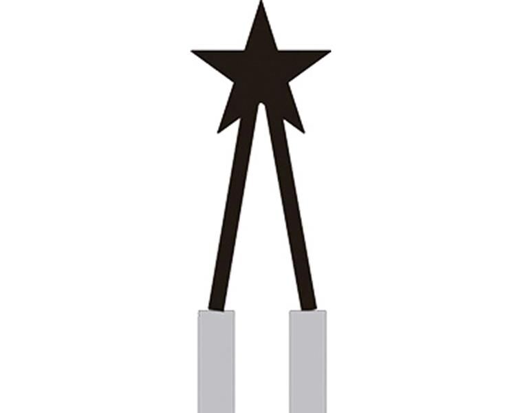 Donau Elektronik Brennspitze sternförmig / ST17151