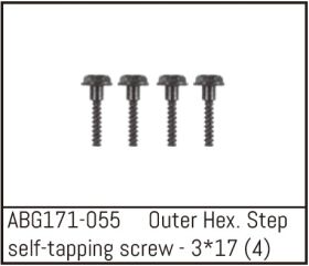 ABSIMA Outer Hex. Step Self-Tapping Screw M3*17 (4PCS) / ABG171-055