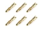 Team Corally Bullit Steckverbinder 2.0mm Stecker mit Feder Vergoldet Gerade Kabel 6 St / C-50170