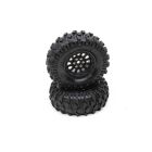DURATRAX Rock Crawler Räder Class 1 Showdown CR C3 Mntd 1.9" Blk (2) / DTXC4074
