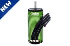 Castle MOTOR, 4-POLE 12-SLOT SENSORED BRUSHLESS, 1717-1260KV / CC-060-0082-00