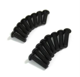 Team C Rundkopfschrauben M2.5x8/10 (16) 1:8 Comp. Buggy /...