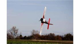 Multiplex RR RaceWulf / 1-01771