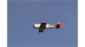 Multiplex RR RaceWulf sportliches Rennflugzeug (Focke Wulf FW 190) / 1-01771