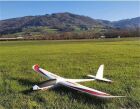 Robbe Modellsport Segelflugmodell ARCUS II PNP / 2649