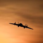 E-Flite 3D Flugmodell Ultrix 600mm BNF Basic / EFL02250