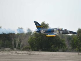 Black Horse Albatros L-39 / 1720 mm / 15282