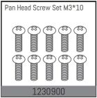 ABSIMA M3*10 Kopfschrauben (10 St.) / 1230900